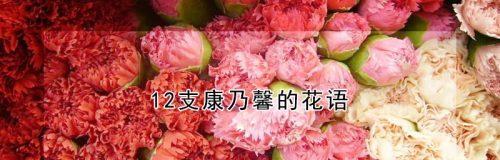 康乃馨——花香传递的美好寓意（康乃馨的花语及其在不同场合的象征意义）